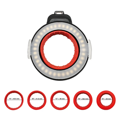 360 True Light